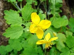 ��������, ��� ���������� �����