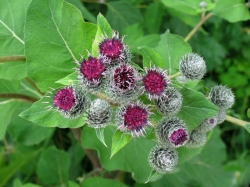 ��������, ��� ����� �������