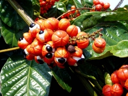 ������� � ���������� �����