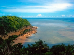 ����� ������ ����� ������� � ����