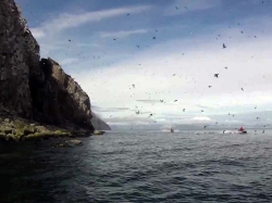 ����� ������ ����� ������� � ������