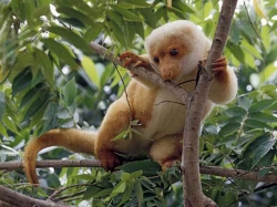 ������ � ������������� ���������