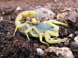 ������ �� ������ ��������