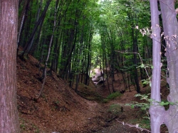 ���������� �����