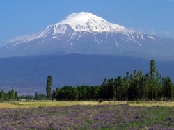 ���� ������ � �������