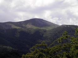 ����� ������� ���� �������� ���