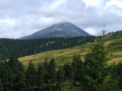 ������� � ����� ������� �� �������