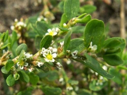 ����� ������, ��� ������