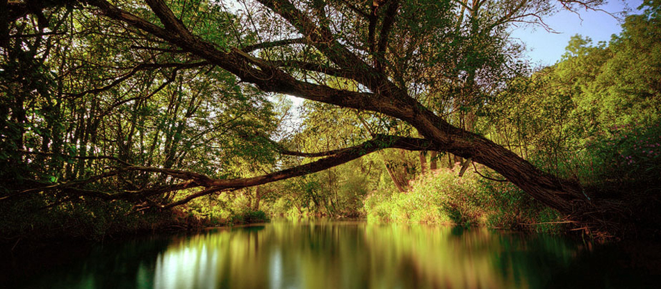 ������� � ������